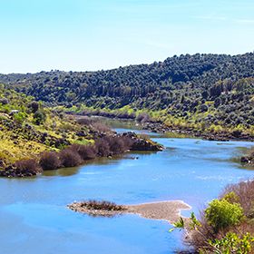 Parque Natural do Rio Guadiana_MértolaLieu: Parque Natural do Rio Guadiana_MértolaPhoto: shutterstock_Shootdiem