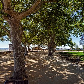 Jardim Portas do SolLieu: SantarémPhoto: Shutterstock_StockPhotosArt