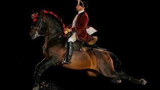 A Arte Equestre tradicional portuguesa regressa a Belém