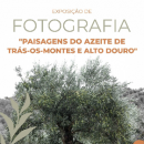 "Landscapes of Olive Oil from Trás-os-Montes and Alto Douro" Exhibition