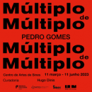 "Multiple of Multiple" by Pedro Gomes
