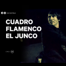 “Cuadro Flamenco El Junco”