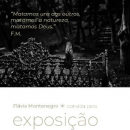 "Collapse" | Flávia Montenegro