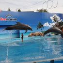 Aquaparques em Portugal
場所: Zoomarine
写真: Zoomarine