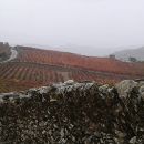 Douro walks Douro walks
