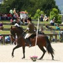 Feira do Cavalo de Ponte de Lima