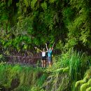 Festival da Natureza