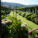 INATEL Linhares da Beira Hotel Rural INATEL Linhares da Beira Hotel Rural