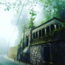 MoonShadow Tours MoonShadow Tours