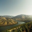 Douro
Plaats: Douro
Foto: Filipe Rebelo