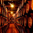 Wine cellar
場所: Porto
写真: Porto convention & Visitors Bureau