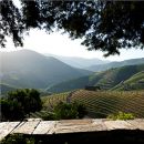 Quinta do Seixo
Luogo: Douro
Photo: Quinta do Seixo - Sandeman