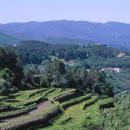 Soajo
場所: Minho
写真: Turismo de Portugal