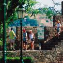 Castelo de Silves
Место: Silves
Фотография: Turismo do Algarve