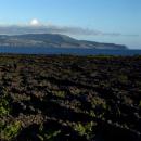 Pico
Место: Ilha Do Pico nos Açores
Фотография: António Sá Pico
Место: Ilha Do Pico nos Açores
Фотография: António Sá
