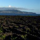 Pico
Place: Ilha Do Pico nos Açores
Photo: António Sá