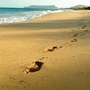 Praia de Porto Santo
Local: Porto Santo
Foto: Turismo da Madeira