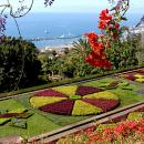Jardim Botânico
地方: Funchal
照片: Turismo da Madeira