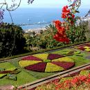 Jardim Botânico
Место: Funchal
Фотография: Turismo da Madeira