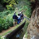 Levada
Lugar Madeira
Foto: Turismo da Madeira