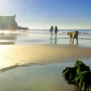 Praia de Carcavelos
地方: Carcavelos
照片: Turismo de Portugal / RR