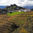 Quinta do Crasto Quinta do Crasto
