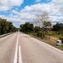 Estrada Nacional
写真: Foge comigo! - Fernando Romão