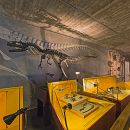 Museu Nacional de História Natural e da Ciência
Plaats: Lisboa