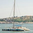 Sardinha do Tejo
場所: Lisboa
写真: Sardinha do Tejo