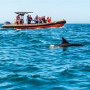 4Adventures Boat Tours 4Adventures Boat Tours
