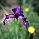 Parque Nacional da Peneda Gerês
写真: Região de Turismo do Alto Tâmega e Barroso