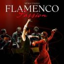 Flamenco Passion
Plaats: Ticketline
Foto: DR