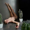 Walking Mad / Cacti
場所: Companhia Nacional de Bailado
写真: DR