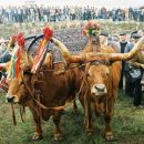 Feira dos Santos – Chaves
Luogo: acisat
Photo: DR