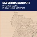 Devendra Banhart: Offering Cloud of Scattered Genitalia
地方: PR
照片: DR