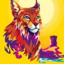 Feira Terras do Lince
場所: CM Penamacor
写真: DR