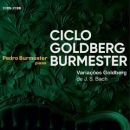 Pedro Burmester – Variações Goldberg (Vila Viçosa)
場所: Artway
写真: DR