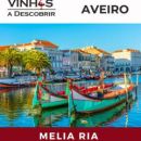 Vinhos a Descobrir – Aveiro
Place: Vinhos a Descobrir
Photo: DR