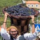 Festa das Vindimas – Estreito de Câmara de Lobos
Ort: CM Câmara de Lobos
Foto: DR