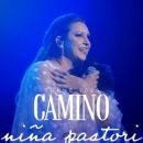 Niña Pastori (Porto)
地方: BOL
照片: DR