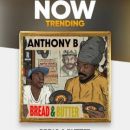 Anthony B (Porto)
Place: FB Anthony B
Photo: DR