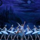 O Lago dos Cisnes – Classic Stage (Paredes)
場所: BOL
写真: DR