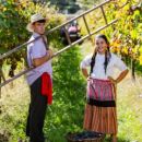 Festa das Colheitas
場所: Câmara Municipal de Vila Verde
写真: DR