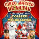 Circo Mágico (Ponta Delgada)
Lieu: BOL
Photo: DR