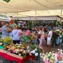 Feira da Praia – Vila Real de Santo António
場所: CM Vila Real de Santo António
写真: DR
