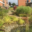 Vamos Perguntar à Natureza?
Lugar PR
Foto: DR