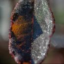 Um Ano no Parque – Jorge Sarmento
Place: Jorge Sarmento
Photo: DR