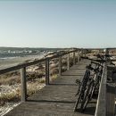 Praia da Gala
Lieu: Figueira da Foz
Photo: Shutterstock_CN_PT_Alicia Moreira