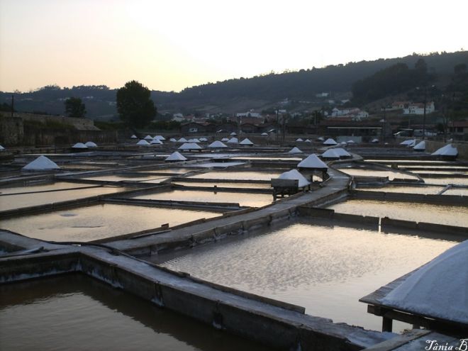 Salinas Naturais de Rio Maior Salinas Naturais de Rio Maior