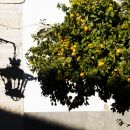 Faro. Faro.